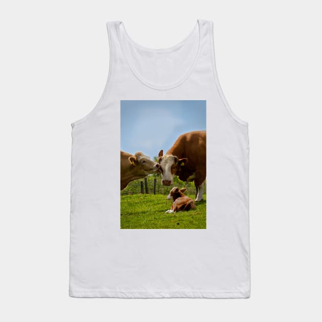 Kissin' cows Tank Top by Violaman